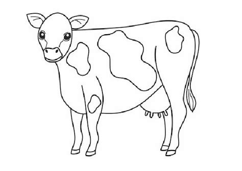 Introduzir Imagem Desenhos De Vacas Para Colorir Br Thptnganamst Edu Vn