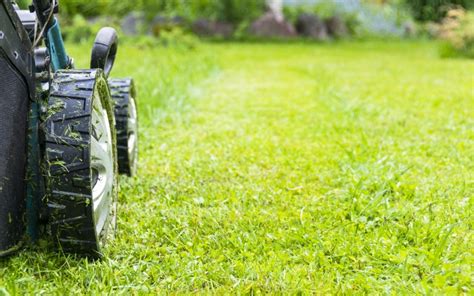 How To Take Care Of Your Lawn During Winter