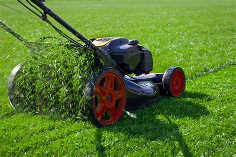 Lawn Care Company How To Choose The Right One Ctisprime