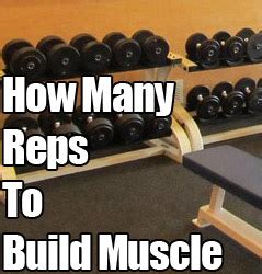 All for distinct sets and reps based on how you should train each specific movement. Want to Build Muscle? How many Reps Per Set for ...