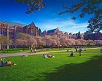 The University of Washington Seattle & Bothell Campuses - Portrait ...