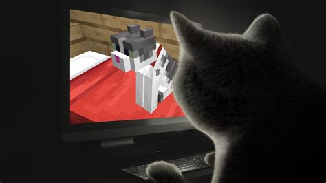 Do cats in minecraft teleport? Résultats du concours de chat. FR-Minecraft