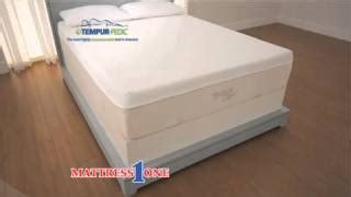 Bed bugs are another major problem in killeen. 3 Best Mattress Stores in Killeen, TX - Expert Recommendations