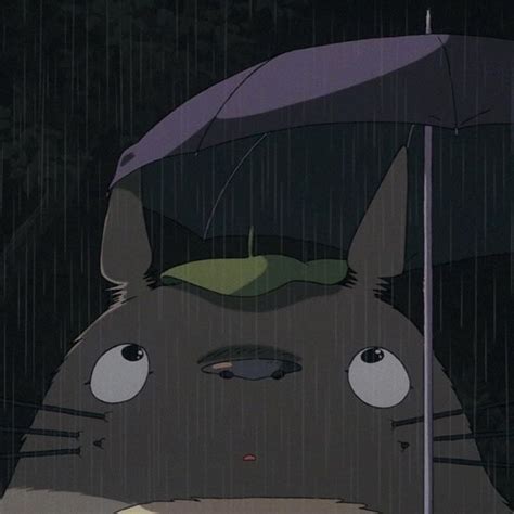 19 My Neighbor Totoro Pfp Ideas Mangalive