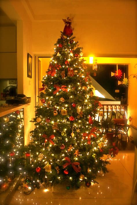 Stumped on how to decorate your christmas tree this year? Christmas tree decorating tips, cool Christmas tree ...