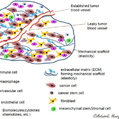 Schematic Diagram Of A Tumor Microenvironment The Tumor Ecosystem Download Scientific Diagram