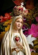 PRAYER TO THE BLESSED VIRGIN MARY - Vcatholic