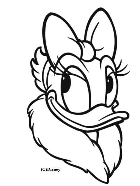 Most of the shapes are fairly irregular, but you should be able to draw them with little. Donald Duck Drawing at GetDrawings | Free download