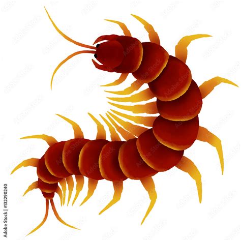 Character Design Of Centipedes Isolated On White Background Stock