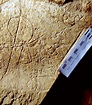 Proto-Sinaitic script - Wikipedia
