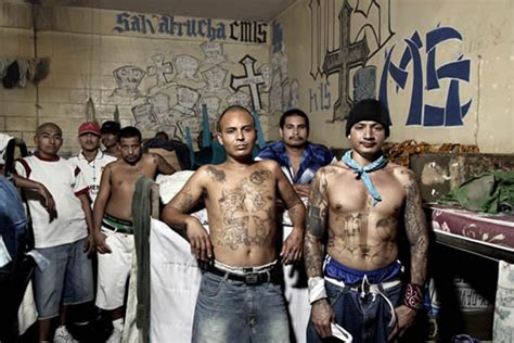 中米に拡大する暴力とカルテルの影響 メキシコ麻薬戦争