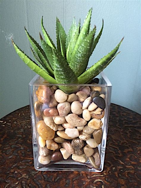 Pots For Your Indoor Succulents