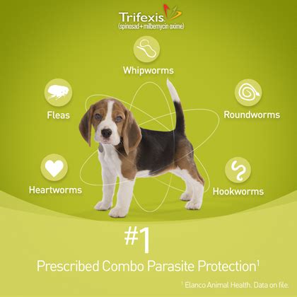 Shop walmartpetrx.com for trifexis chewable tablets for dogs and all of your other pet medications. Trifexis | Flea & Heartworm Control | Free Shipping ...