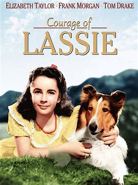 Lassie Serie Tv Di Grande Successo Qui Curiosità Video E Foto Originali