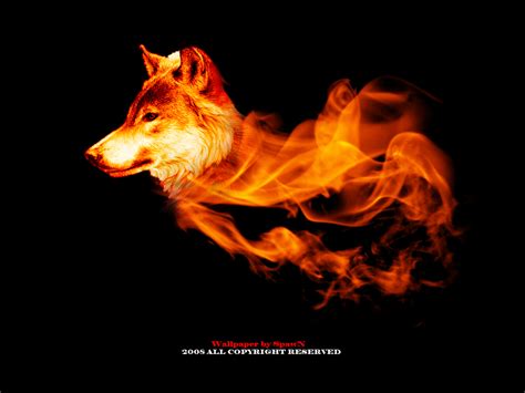 🔥 48 Fire Wolf Wallpaper Wallpapersafari