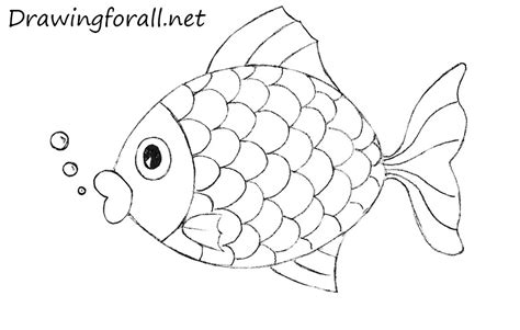 I did have fun and be sure to join me next time for another eye popping lesson. How to Draw a Fish for Kids | Drawingforall.net