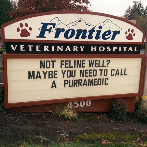 The Funniest Vet Signs About Cats We Have Passed By Lately Funny Cat
