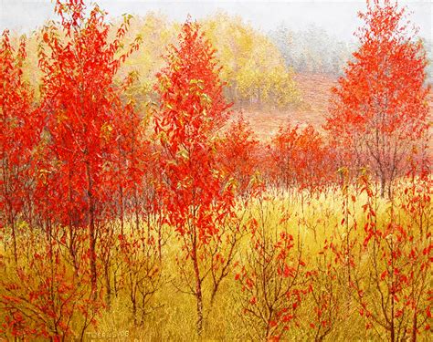 Cherry Trees In Fall Color Sold Richard G Tiberius