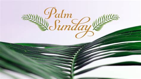 Palm Sunday Message From Fr Kalombo Sts Joseph And Paul Catholic Church