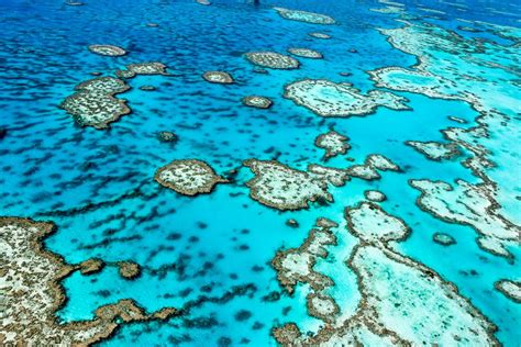 Visit The Great Barrier Reef Of Australia