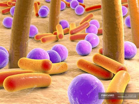 Bacteria On Human Skin — Microbe Microflora Stock Photo 160565138