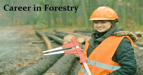 Best Forestry And Wildlife Careers Courses Jobs And Salary In India In 2023