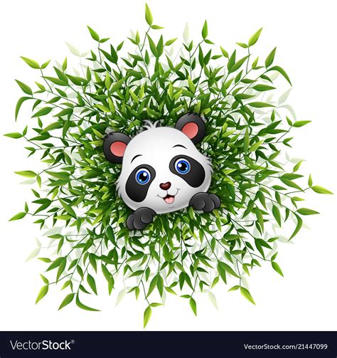 Bamboo Cartoon Cute Panda Pictures