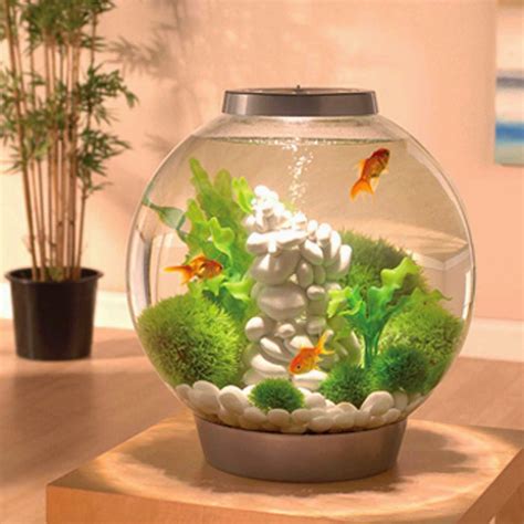 Biorb Aquarium Kit With Light Fixture Spiffy Pet Products Fish Tank