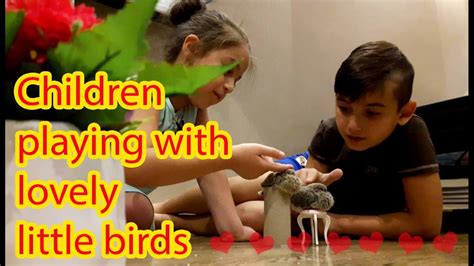 Children Playing With Lovely Little Birds Fun World For Children Youtube