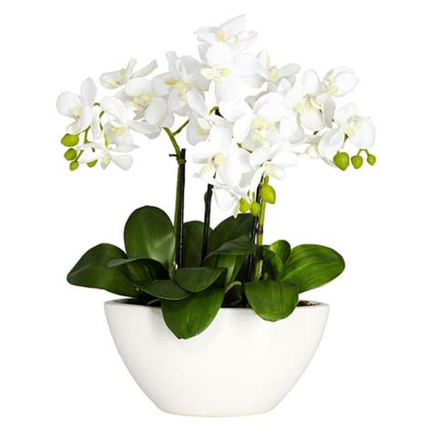 Nearly Natural Phalaenopsis Orchid White Silk Flower Arrangement Free Shipping Today