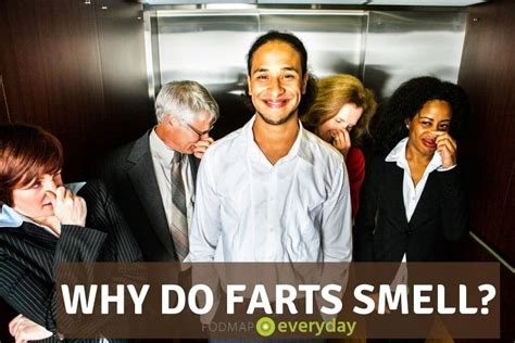 Everything You Want To Know About Farting Fodmap Everyday