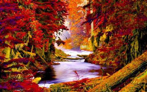 Autumn Forest Creek Wide Wallpaper 503570