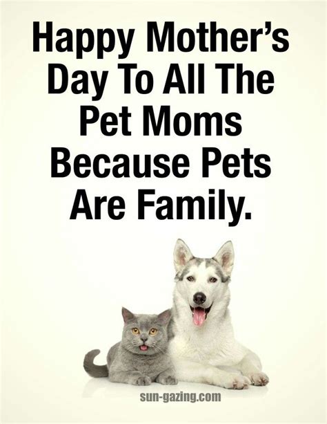 Happy Mothers Day To Pet Owners Ternq