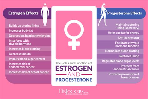 There are 3 types of estrogen: Factors Causing Estrogen Dominance - DrJockers.com