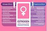 Birth Control Estrogen And Progesterone Photos