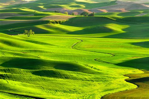 The Palouse Rolling Hills Photograph By Justinreznick
