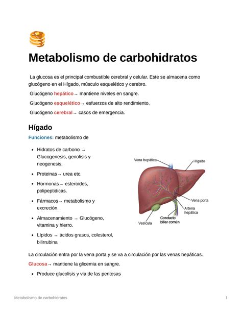 Solution Metabolismo De Carbohidratos Studypool