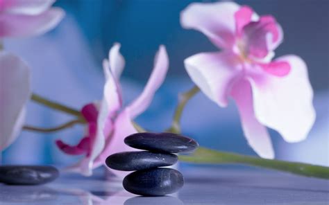 Alluring Ambience Massage Alluring Ambience