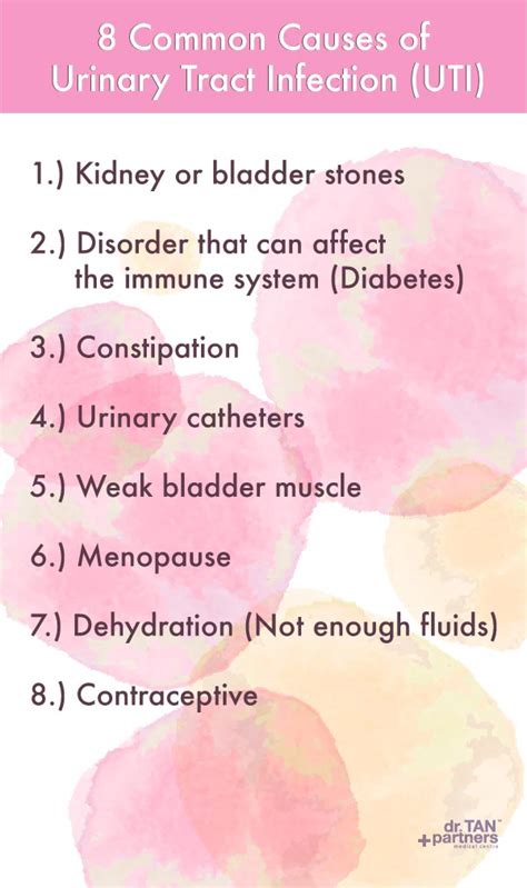 8 Causes Of Womens Uti Womens Health Clinic