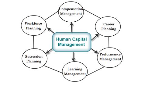 Human Capital Management System Hcms Importance