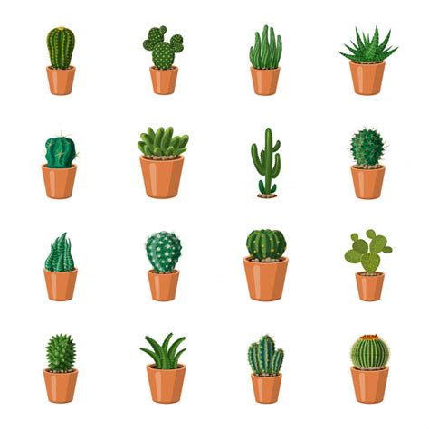 La pourriture est malheureusement un problème fréquent chez les cactus. Jeu D'icônes De Dessin Animé De Cactus, Cactus En Pot ...