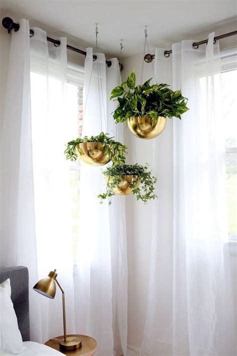 Living Room Indoor Hanging Plants Home Design Ideas
