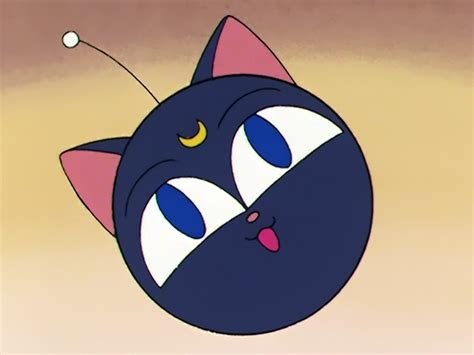 Luna P Sailor Moon Dub Wiki Fandom