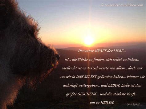 Liebe ist… wenn ich ohne nachzudenken ständig an dich denken muss. Sich selbst zu lieben… - Tiere-Verstehen.com ...