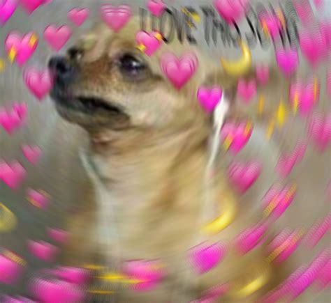 Oof Dog Wholesome Love Meme Shister Heart