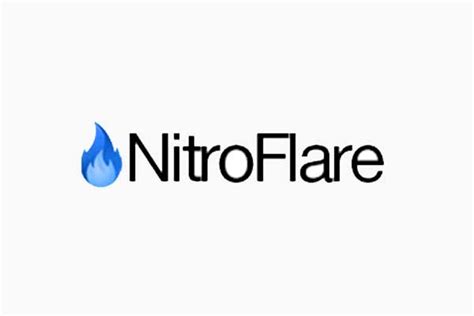 Nitroflare Premium Preise Und Laufzeiten Vergleichen Beyondo