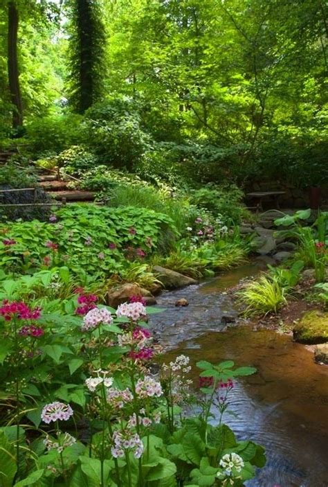 Peaceful Garden Creek ♥ Outdoor Garden Shade Garden Garden In The