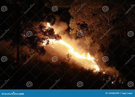 Forest On Fire At Night Climbing Up The Hillside Editorial Stock Image