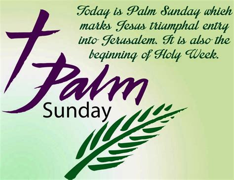 Palm Sunday Quotes From The Bible Palm Sunday Blessed Is The King