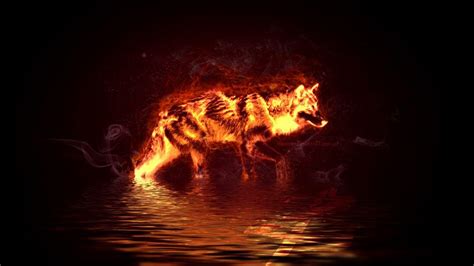 Fire Wolf Wallpapers Wallpaper Cave